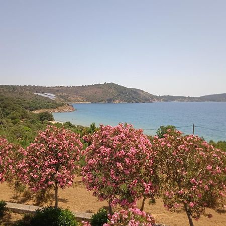 Skoutari Beach Hotel Exterior photo