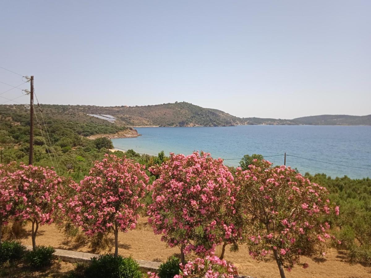 Skoutari Beach Hotel Exterior photo